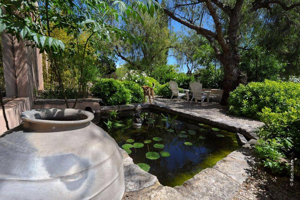 טאווירה Altanure Quinta Sol D'Agua - Ecological Holiday Villa מראה חיצוני תמונה